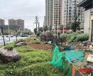 开局八好 乘势而上丨蒸湘区：闲置地块“蝶变”口袋公园，居民点赞家门口幸福升级