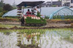 机械化插秧助春耕