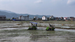 蓝山：机械化插秧“稻”路宽，按下春耕“快进键”