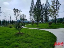  安乡县倡导绿色殡葬 共树文明新风 葬有去处 地不浪费 景更优美