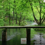 听流水、过小桥、放牧羊群……桃源的春天藏着现实版的“绿野仙踪”