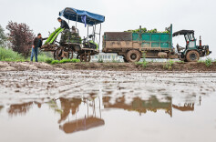 智能插秧机助力春耕