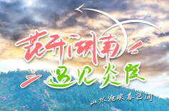 花开湖南⑪｜遇见炎陵：杜鹃轻染一山春