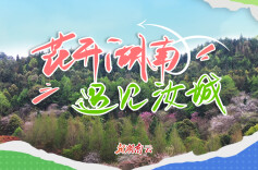 花开湖南⑫｜遇见汝城：踏春寻樱逢花雨