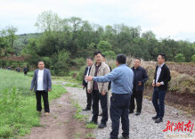 湖南省政务服务和大数据中心赴辰溪县长坡新村调研指导乡村振兴工作