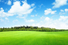 穿林越岭写春秋 永州林调人为潇湘大地“摸清绿色家底”