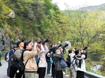 高校学子齐聚中南林共赴春日观鸟盛会