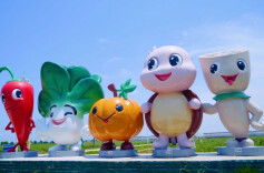 汉寿县蔬菜公园：农文旅融合助力乡村振兴