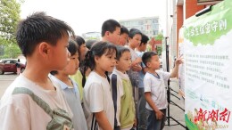 新田县开展“4·15”全民国家安全教育日主题宣传活动