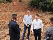 【“321”机制大抓落实年】第29期：娄底市委副书记、市长何朝晖督导信访有关工作