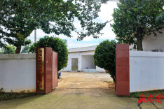 韶峰大曲：半世纪匠心传承 一缕醇香醉韶山