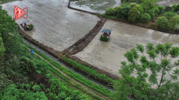 浏阳官渡：机械化插秧助春耕