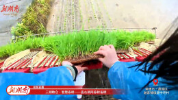科技创新如何推动农业转型？记者带你用第一视角解锁插秧“新姿势”