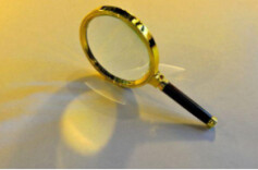 同济大学回应教师王某论文数据存疑：已成立调查组