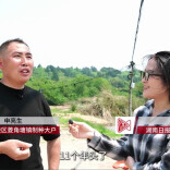 扶持力度拉满！返乡种田，这次真的成了