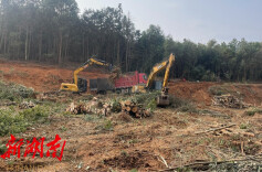 践初心 办实事 | 樟市镇：水利工程建设加快推进 保障农田灌溉用水