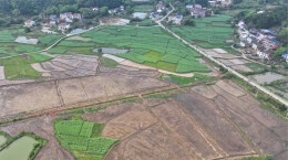 衡山永和乡：提质改造耕作条件，1900余亩耕地焕新生