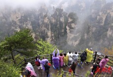 张家界国家森林公园进入旅游旺季