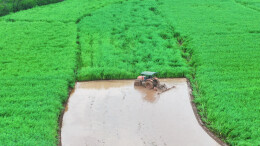 早稻生产抢农时