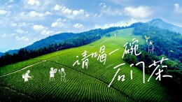 请喝一碗石门茶①｜石门茶产业巡礼