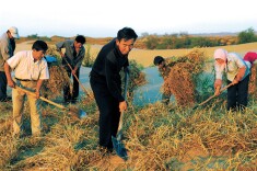 榜样 | 大漠铸丰碑 瀚海播绿人——致敬来自防沙治沙一线的他们