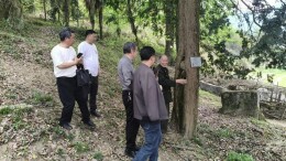 绥宁县黄土矿镇政协委员工作室组织开展改善生态环境民主监督活动