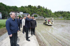 毛伟明在张家界检查春耕生产和防汛备汛