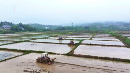 三湘粮仓 智慧春耕