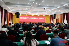 李彦文主持召开全区群众身边不正之风和腐败问题集中整治工作专题调度会