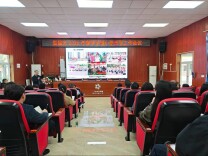 娄底市娄星区:以体育人促五育融合 聚力提质绘育人新篇