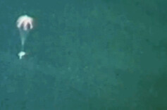 撤离通道被水堵死，困在封闭空间怎么办？