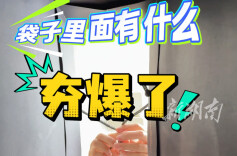 手提袋里有什么？快打开看看……