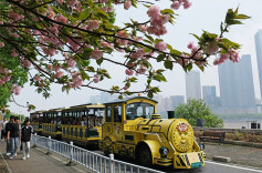 春意盎然引客来