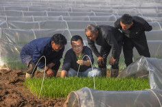 育秧技术送上门