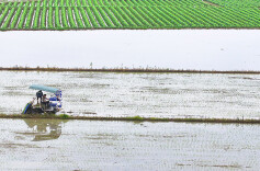 图集 | 谷雨将至农事忙