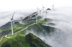 生态画卷展魅力