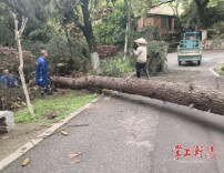 衡阳市园林绿化服务中心全力筑牢汛期安全防线
