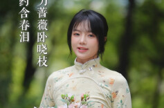 听春雷，见花泪｜岁月如诗