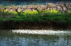 湖南真美 · 一周精选 ⑤｜水暖，山绿，日子在醒