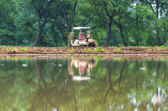 农机插秧忙  不负好春光