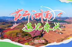 花开湖南⑭｜遇见永兴：花海古村忆初心