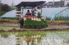 Liuyang Adopts Mechanized Rice Transplanting to Assist Spring Farming