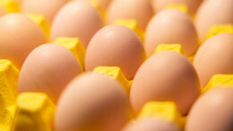 环保新规推高养鸡成本致蛋价上涨？系谣言！