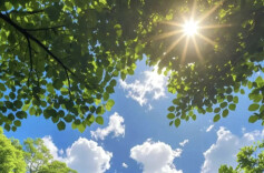 抓紧洗晒！雨水已经在路上