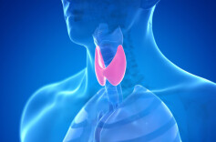 为什么越来越多人查出甲状腺问题？一文看懂甲状腺健康