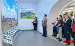 组图丨第20届中韩地方政府交流研讨会与会韩国嘉宾来郴参访