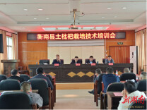 开局八好 乘势而上｜衡南县：满山枇杷树，成了村民“摇钱树” 