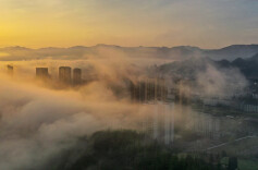 晨雾染金辉