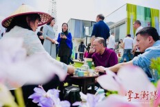 走，采茶去！南岳龙池村千亩茶园等你来