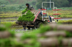 图集 | 湖湘春潮涌  沃野耕作忙